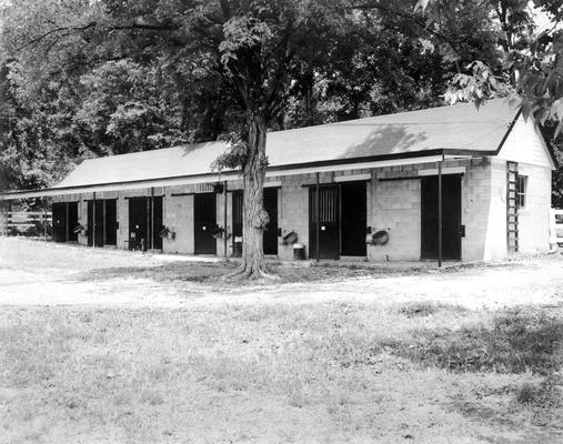 Horse Farms and Owners; Unidentified; A stable