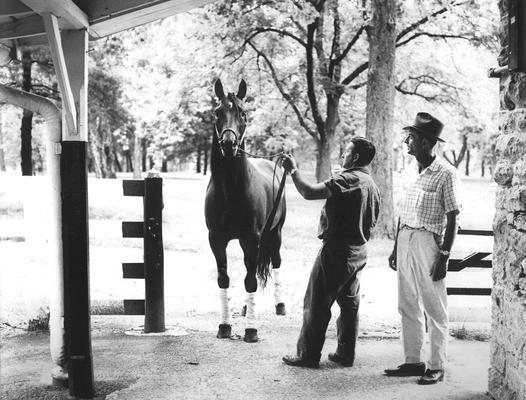 Horses; Group; Unidentified; Two men and a horse in a stable