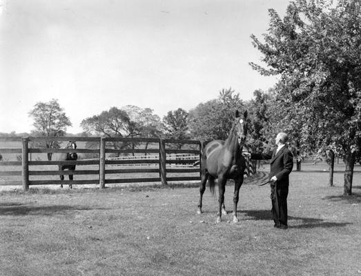 Horses; Group; Unidentified; A man leads a horse out to a fence