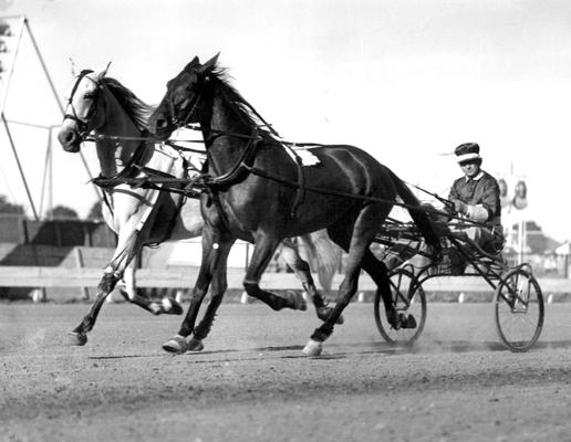 Horses; Harness Racing; Race Scenes; Two horses pulling a cart