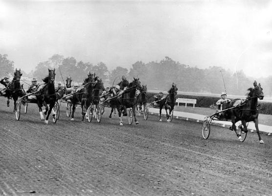 Horses; Harness Racing; Race Scenes; Horses on the race track #1