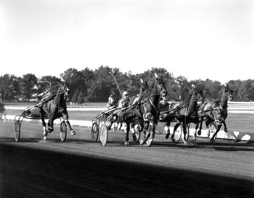 Horses; Harness Racing; Race Scenes; Horses on the race track #2