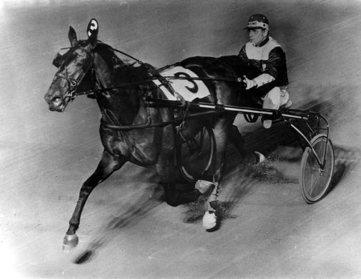 Horses; Harness Racing; Race Scenes; Racer #3