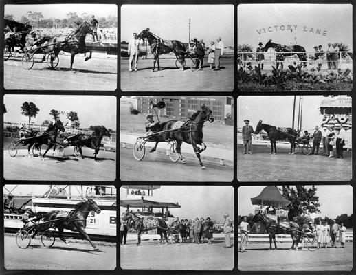 Horses; Harness Racing; Race Scenes; Nine photos of horses