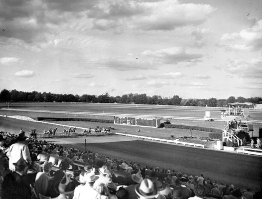 Horses; Harness Racing; Race Scenes; Jockeys on their mark