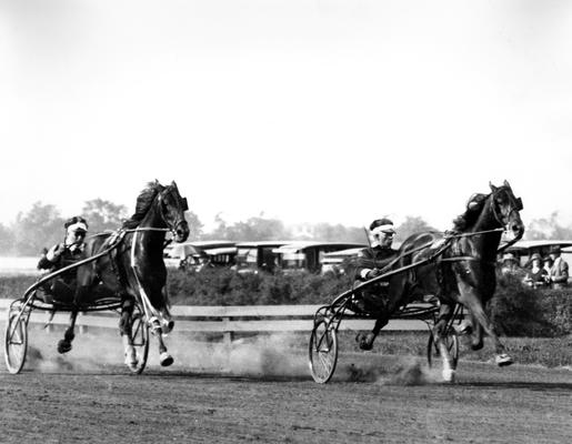 Horses; Harness Racing; Race Scenes; Two horses on the track