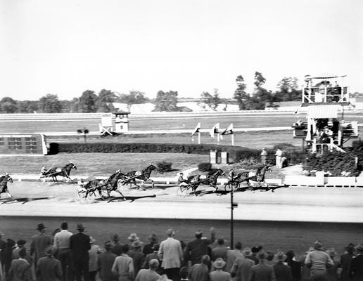 Horses; Harness Racing; Race Scenes; A race as viewed from Grand Stand