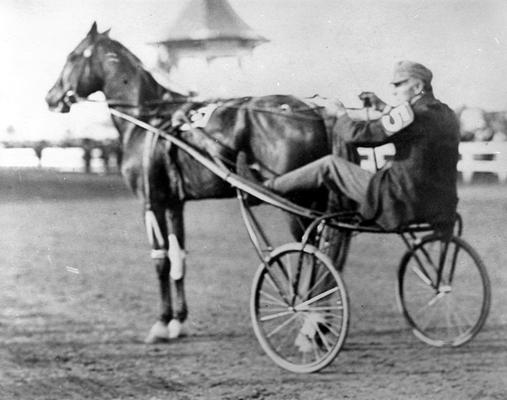 Horses; Harness Racing; Race Scenes; Jockey #5