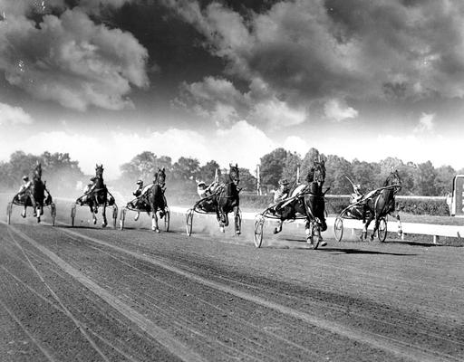 Horses; Harness Racing; Race Scenes; Six racers in the race