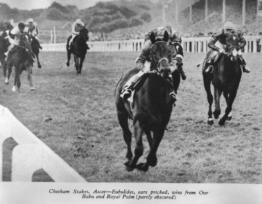 Horses; Thoroughbred Racing; Race Scenes; Eubulides wins the Chesham Stakes