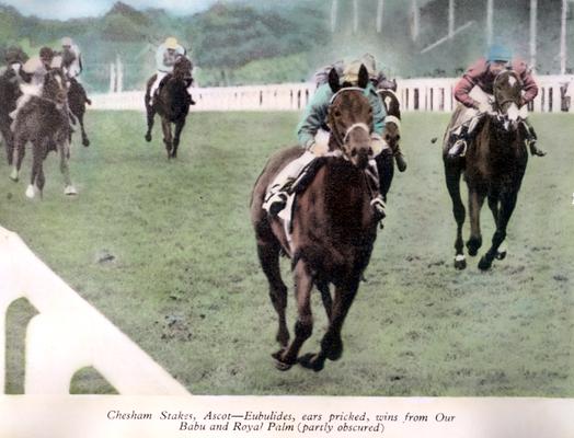 Horses; Thoroughbred Racing; Race Scenes; Color duplicate of #4536