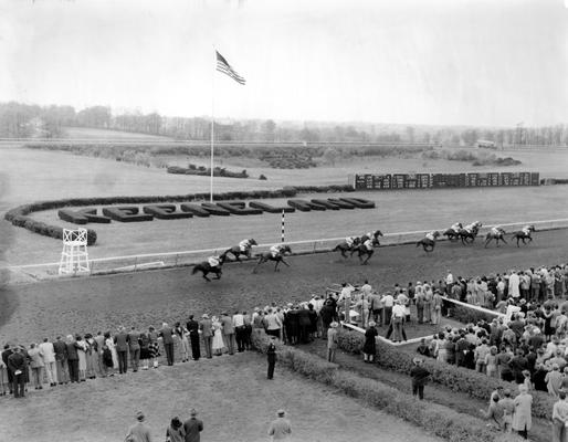 Horses; Thoroughbred Racing; Race Scenes; Horses race past the flag pole and ornamental bushes