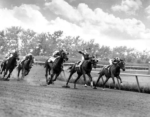 Horses; Thoroughbred Racing; Race Scenes; The horses take a corner of the track