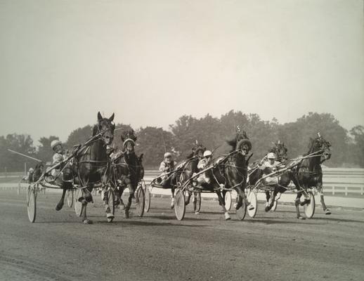 Horses; Race Scenes; Harness racing shot #1