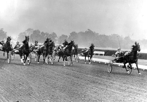 Horses; Race Scenes; Harness racing shot #2