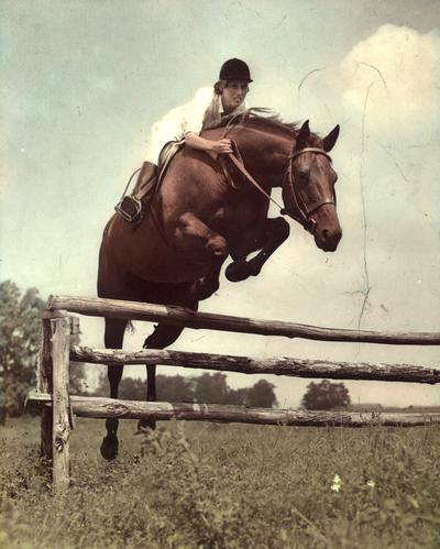 Horses; Show Horses; A horse jumping an obstacle