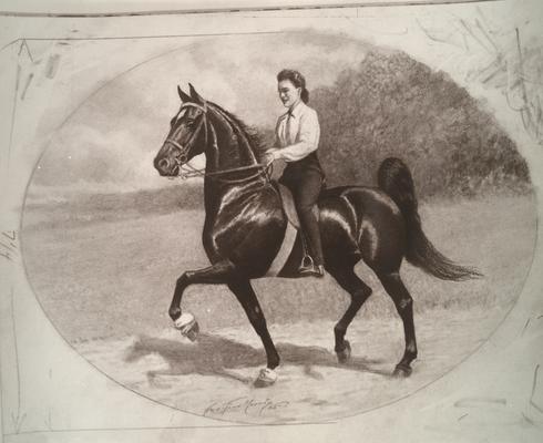 Horses; Sketches; Sketch of a lady riding a horse