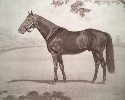 Horses; Sketches; Royal Gem; Sketch of Royal Gem