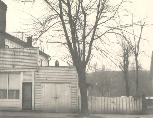 Buildings; Unidentified; Tree on property of the building with storefront, #417-419