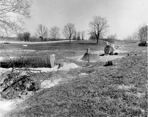 Construction; Power Line right-of-way; Large tree removal