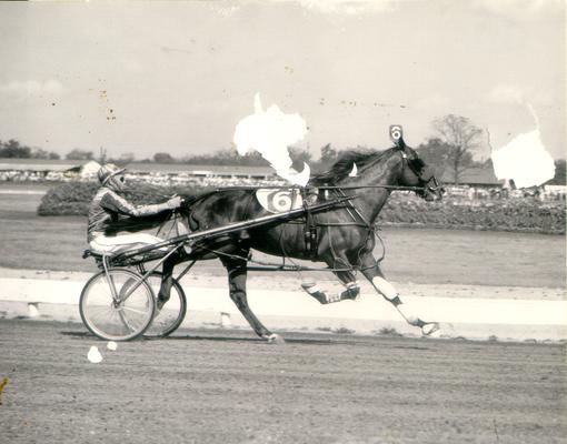 Dancer, Stanley; Dancer's horse at a full gallop