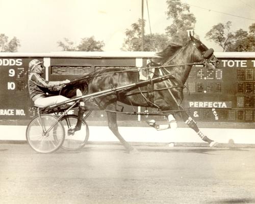 Dancer, Stanley; Dancer's horse glides by the betting display