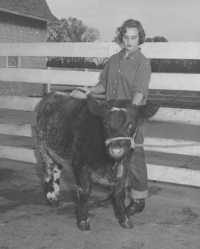 Harper, Barbara, A student in the University of Kentucky College of Agriculture and Home Economics, poses with a calf, Public Relations Department