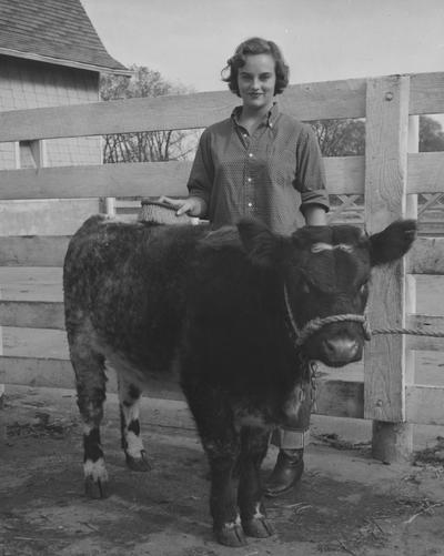 Harper, Barbara, A student in the University of Kentucky College of Agriculture and Home Economics, poses with a calf, Public Relations Department