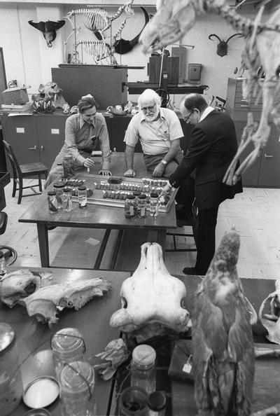 Barbour, Roger (center), Professor, Department of Zoology, pictured with Robert Kuehne (left), Wayne Davis