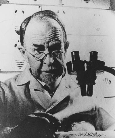 Morgan, Thomas Hunt, Famous University of Kentucky Graduate (B.S.) in biology in 1886 and Master's of Science in 1888, In 1933 he received the Nobel Prize in Medicine, he was the first person to receive this prize with a non-medical degree, his work was in genetics and with the fruitfly, he discovered links between chromosomes and inherited traits, this picture was taken at the California Institute of Technology in his laboratory, he worked there from 1928-1941 when he retired, he is the nephew of the Confederate General John Hunt Morgan, Thomas Hunt Morgan was born in Lexington, Kentucky in 1866