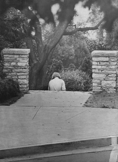 Newlin, Jeff, Taking a view from the top of the steps leading to the University of Kentucky Botanical Garden, he is a freshman from Illinois who used the overview as a site from which to draw trees, photograph by staff