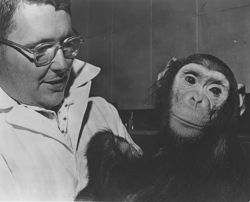 Powers, Theodore K., A graduate assistant helping to train the chimpanzees for the Aeromedical Field Laborartory of the Air Research and Development Command at the Helleman Air Force Base New Mexico, location of print is in University of Kentucky's Wenner Gren Laboratory, picture is issued by office of security review department of defense