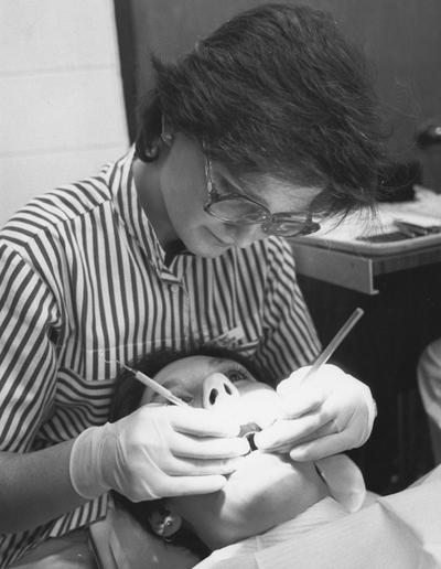 Unidentified dental technician at Ashland Community College, featured in the Community College System Bulletin, Photographer: John Mitchell