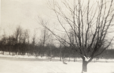 An image of a snow covered landscape with a tree in the foreground and located near a train station. This print was found pasted to the front of page 115 of 