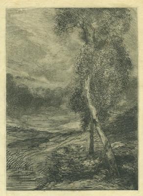 Landscape with Trees by Felix Bracquemon