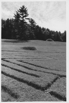 James Pierce maze, observatory, and motte; Pratt Farm, Clinton, Maine