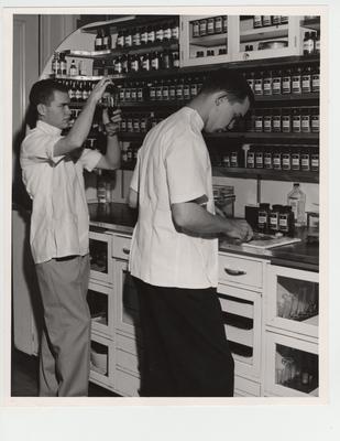 Workers in the dispensing laboratory