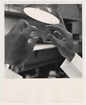 A man holds up a microscope slide