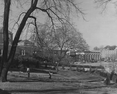 Unidentified campus workers maintaining the Botanical Gardens; Public Relations photo