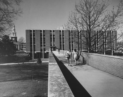 Students walking on the walkway to the Commerce Building