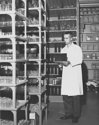 An unidentified man in the Pharmacy stock room. This photo received December 30, 1959 from Public Relations