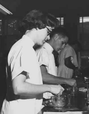 Three unidentified students grinding a substance in a pharmacy lab. A University of Kentucky photograph