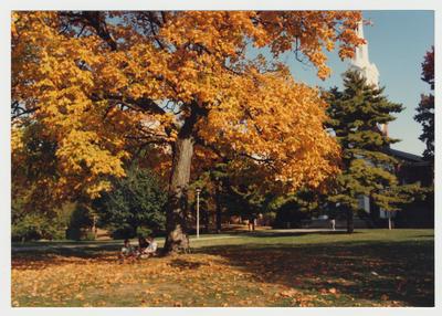 Three unidentified students are seated under a tree, near Memorial Hall, during the fall