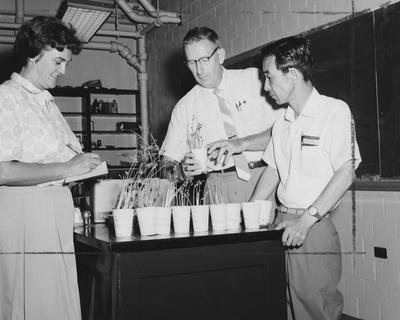 Science Institute, laboratory activity with three unidentified people. Received July 13, 1962 from Public Relations
