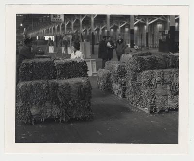Bales of tobacco are in a warehouse