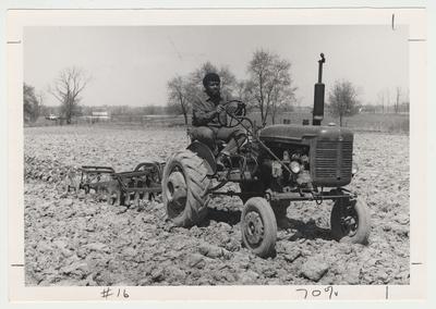 An unidentified African American man is driving a tractor on UK experiment farm