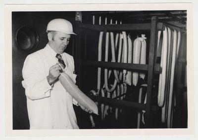 An unidentified man is looking at some meat in the Animal Sciences Department of Meat Processing