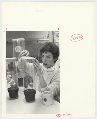 An unidentified woman is conducting plant pathology research