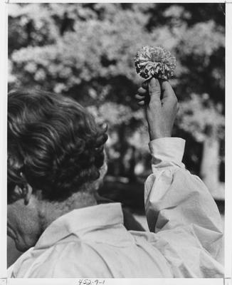 An unidentified man holds up bid cards during fraternity Rush. This photo appears first on page 9 in the 1969 Kentuckian
