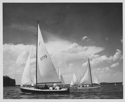 Sail boats; Photo by the Public of Relations